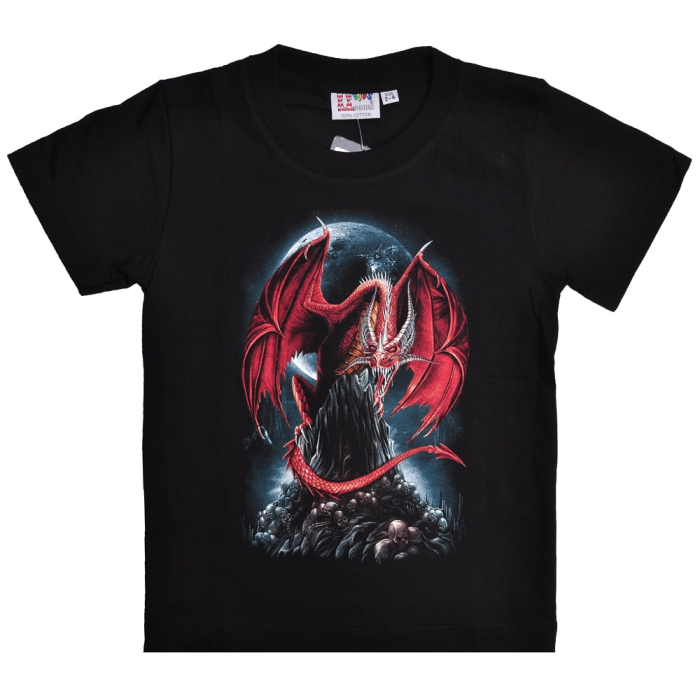 Red Dragon on a Rock (Rock Eagle, Glowing in the Dark) T-Shirt