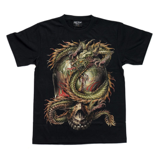 Chinese Dragon on the Skull (3D, Glows in the Dark) T-Shirt
