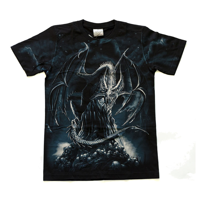 Dragon on the Rock T-Shirt