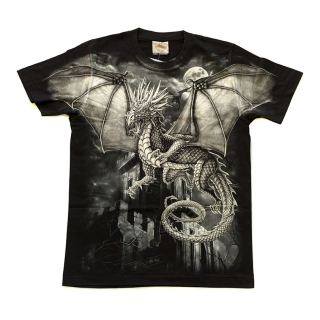 Dragon on the Background of the Castle T-Shirt