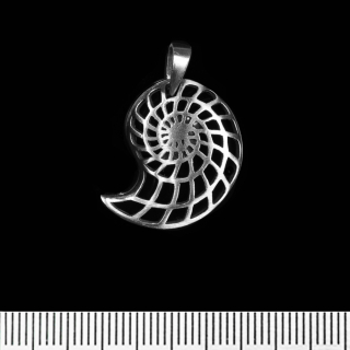 Shell (pth-042) Pendant