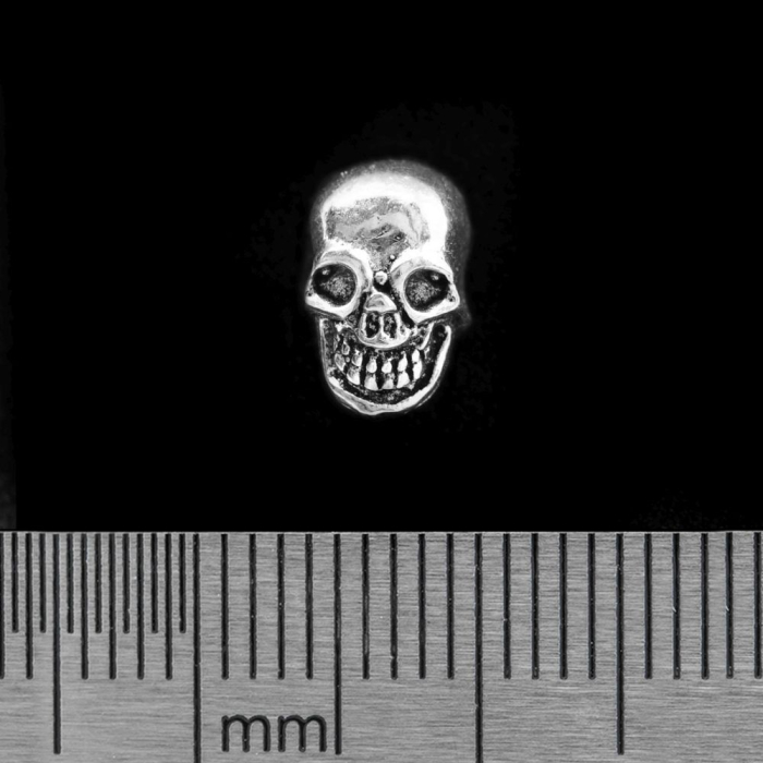 Big Skull (925 Silver) Stud Earring