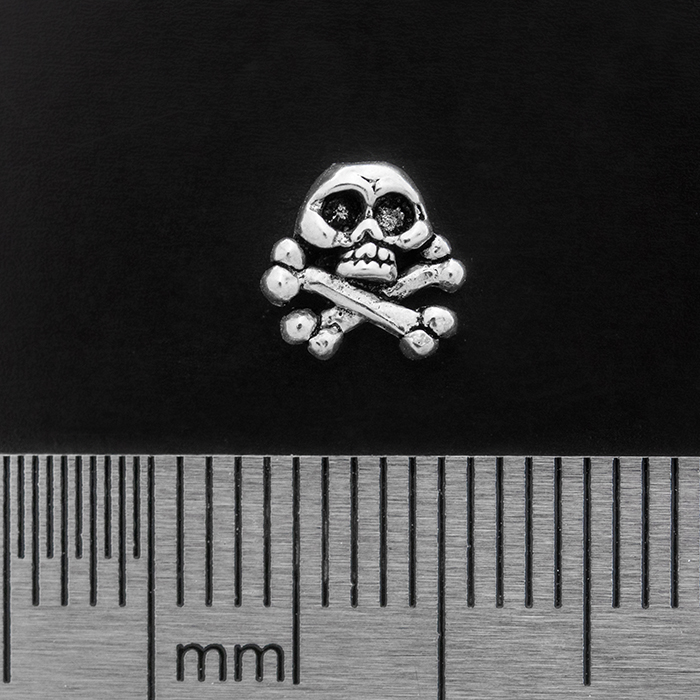 Danger Skull (925 Silver) Stud Earring