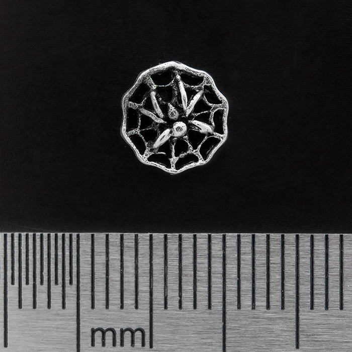 Spider on a Web (925 Silver) Stud Earring