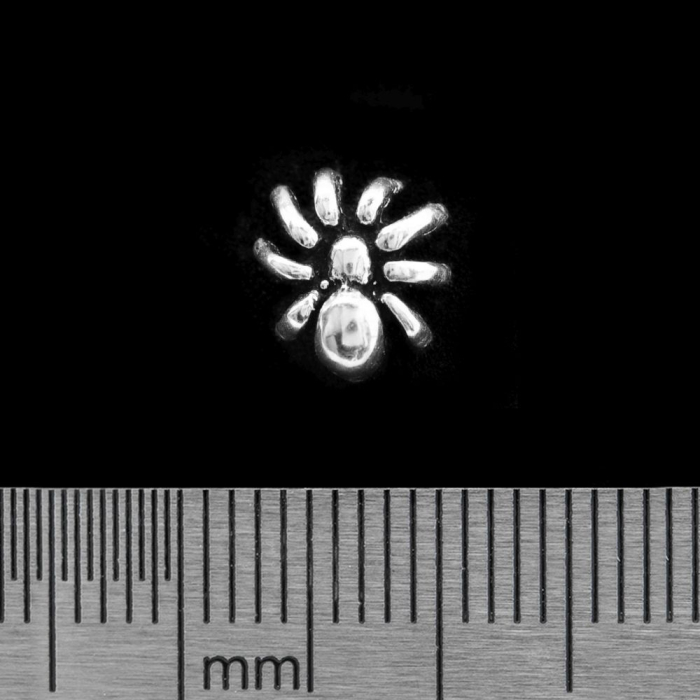 Spider (925 Silver) Stud Earring