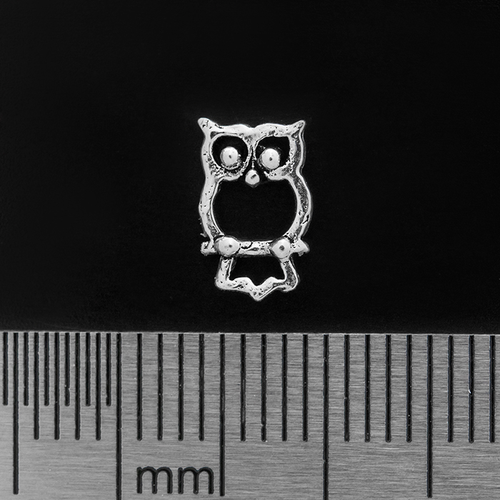 Owl (Contour) (925 Silver) Stud Earring