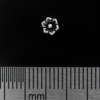 Flower (925 Silver) Stud Earring