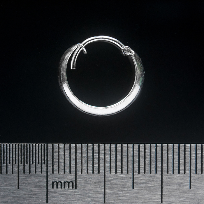 Pirate Ring (eas-053) Earring