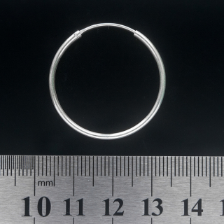 Big Ring (eas-061) Earring