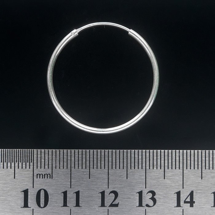 Big Ring (eas-061) Earring