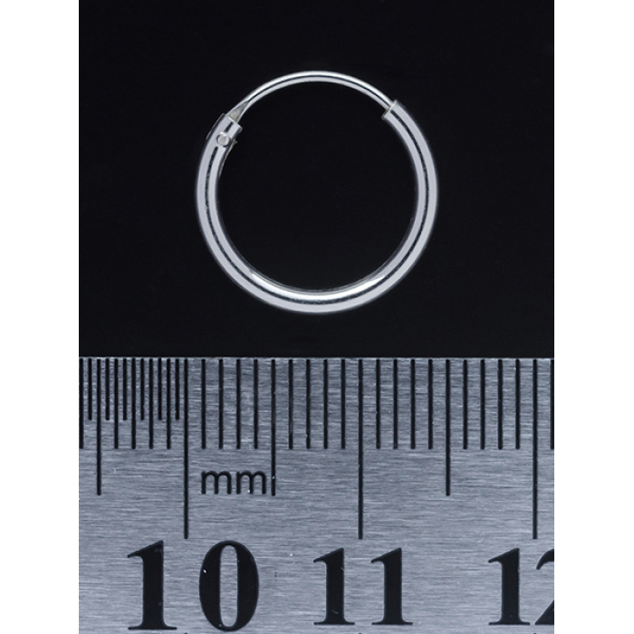 Thick Ring (eas-005) Earring Thick Ring (eas-005) Earring