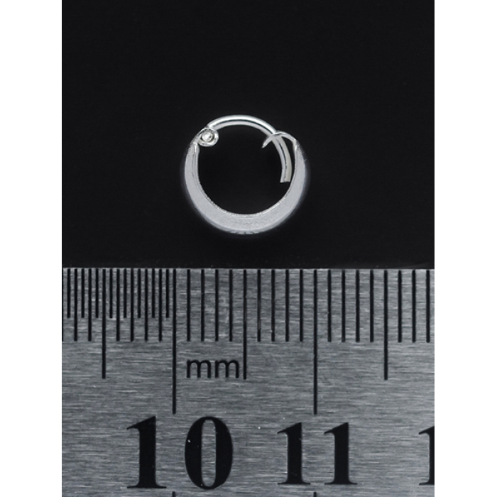 Pirate Ring (eas-010) Earring