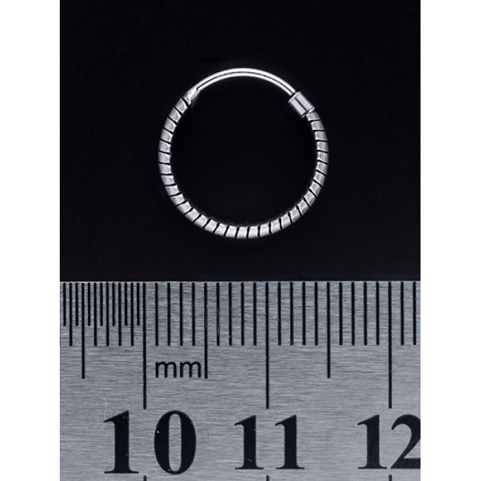 Ring with a Pattern (eas-023) Earring