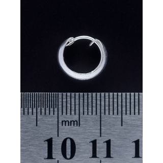 Pirate Ring (eas-031) Earring