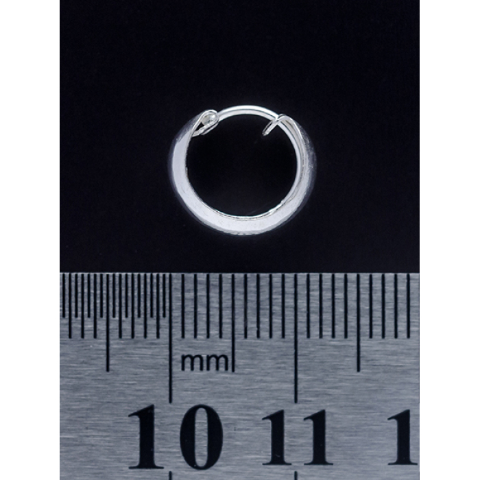 Pirate Ring (eas-031) Earring